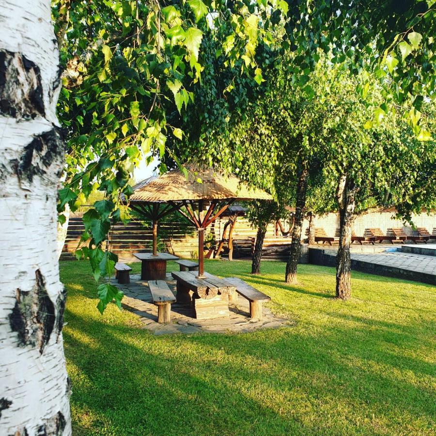 Casa Tomsa Bed & Breakfast Rozavlea Luaran gambar