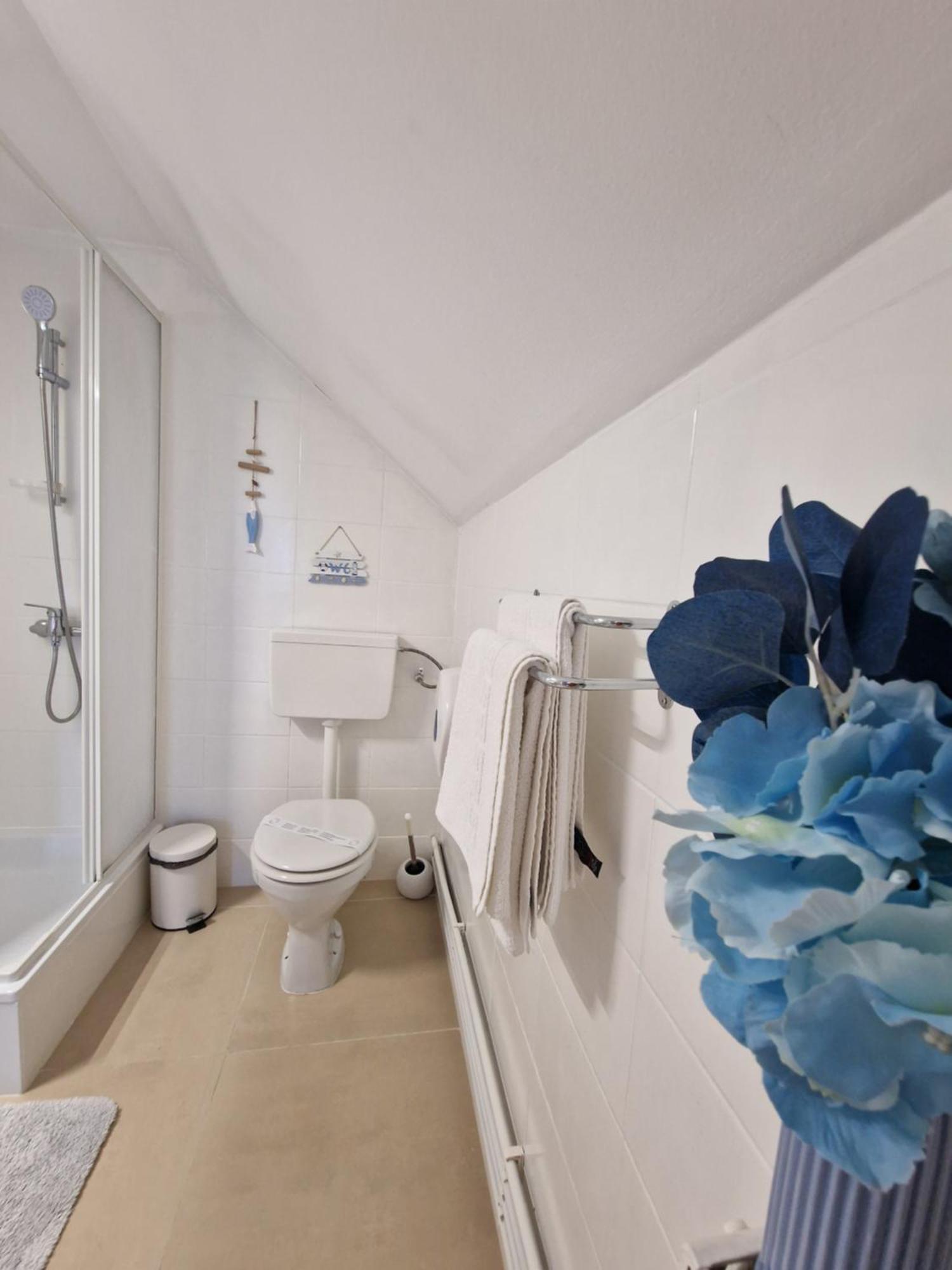 Casa Tomsa Bed & Breakfast Rozavlea Luaran gambar