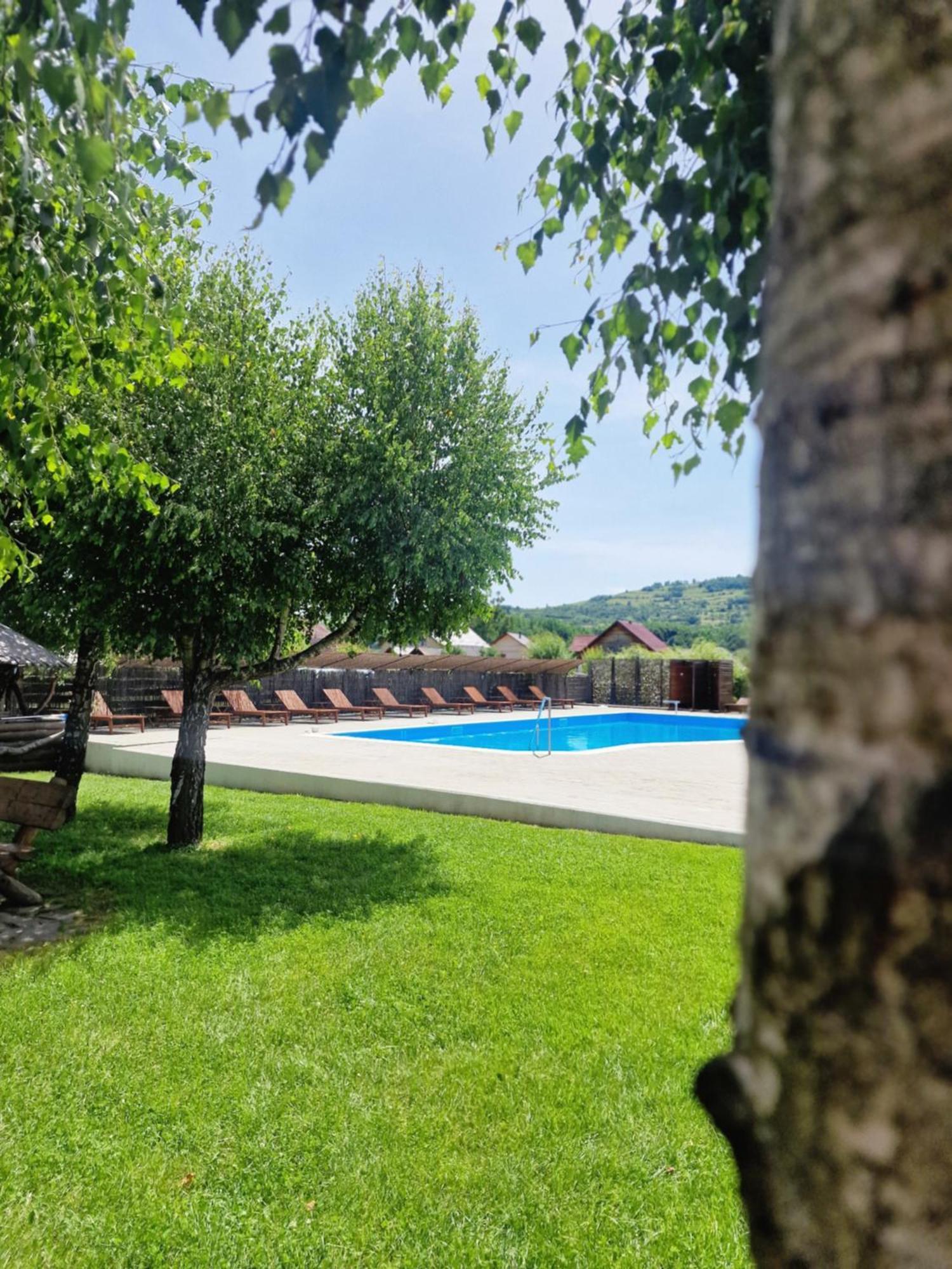 Casa Tomsa Bed & Breakfast Rozavlea Luaran gambar